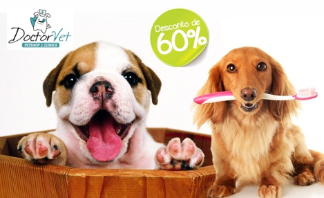 Cuidados com seu pet! 60% de desconto em Banho + Tosa Higiênica + Hidratação + Corte de Unhas + Higiene Bucal. De R$ 60,00 por R$ 23,90 na Doctor Vet. Cuidados com seu pet! 60% de desconto em Banho + Tosa Higiênica + Hidratação + Corte de Unhas + Higiene Bucal. De R$ 60,00 por R$ 23,90 na Doctor Vet.