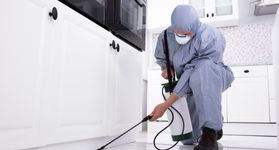 Dedeclean Pragas, Dedetização para o controle de insetos ou Desratização para áreas até 200m² Dedeclean Pragas, Dedetização para o controle de insetos ou Desratização para áreas até 200m²