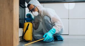 Ddtiza Pragas, Descupinização com Barreira Química Protetora na Ddtiza Pragas Ddtiza Pragas, Descupinização com Barreira Química Protetora na Ddtiza Pragas
